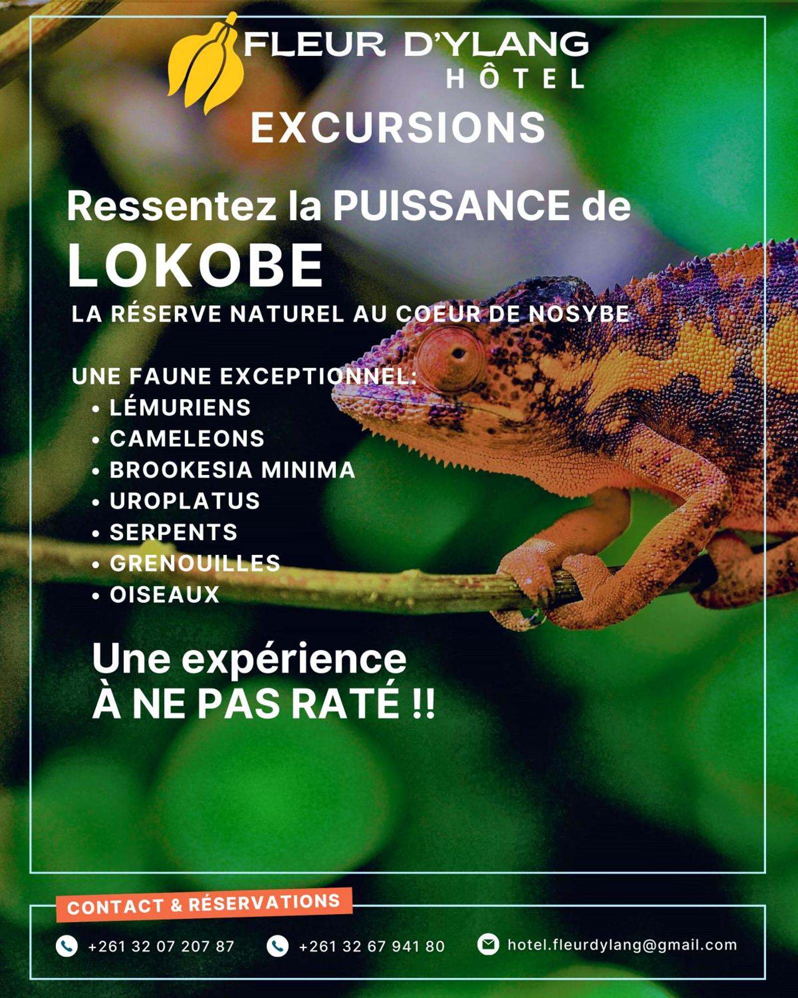 Hotel Fleurs D'Ylang Nosy-Be Exterior foto